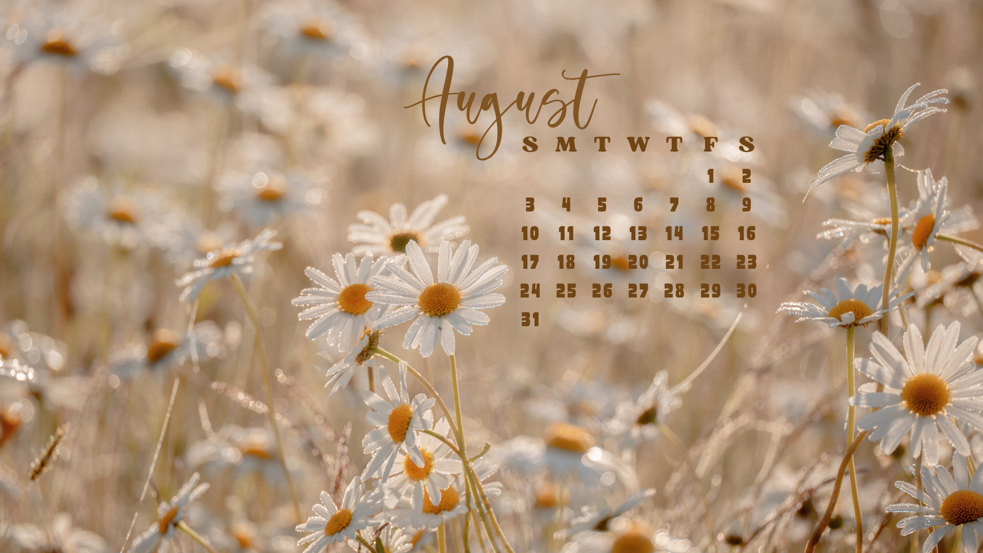 1920x1080 Free August 2025 Desktop Calendar Background (EASY DOWNLOAD)