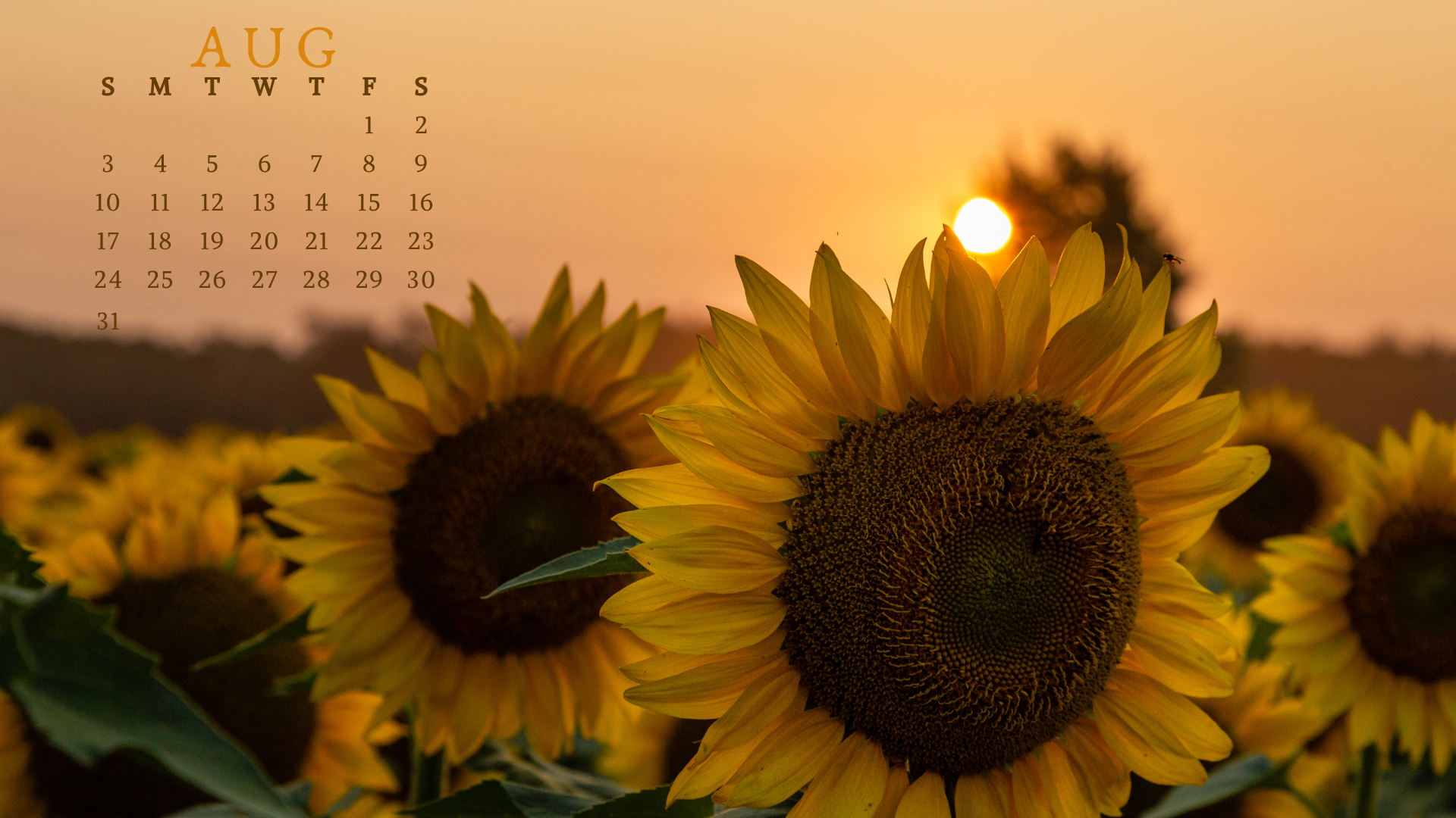 1920x1080 Free August 2025 Desktop Calendar Background (EASY DOWNLOAD)