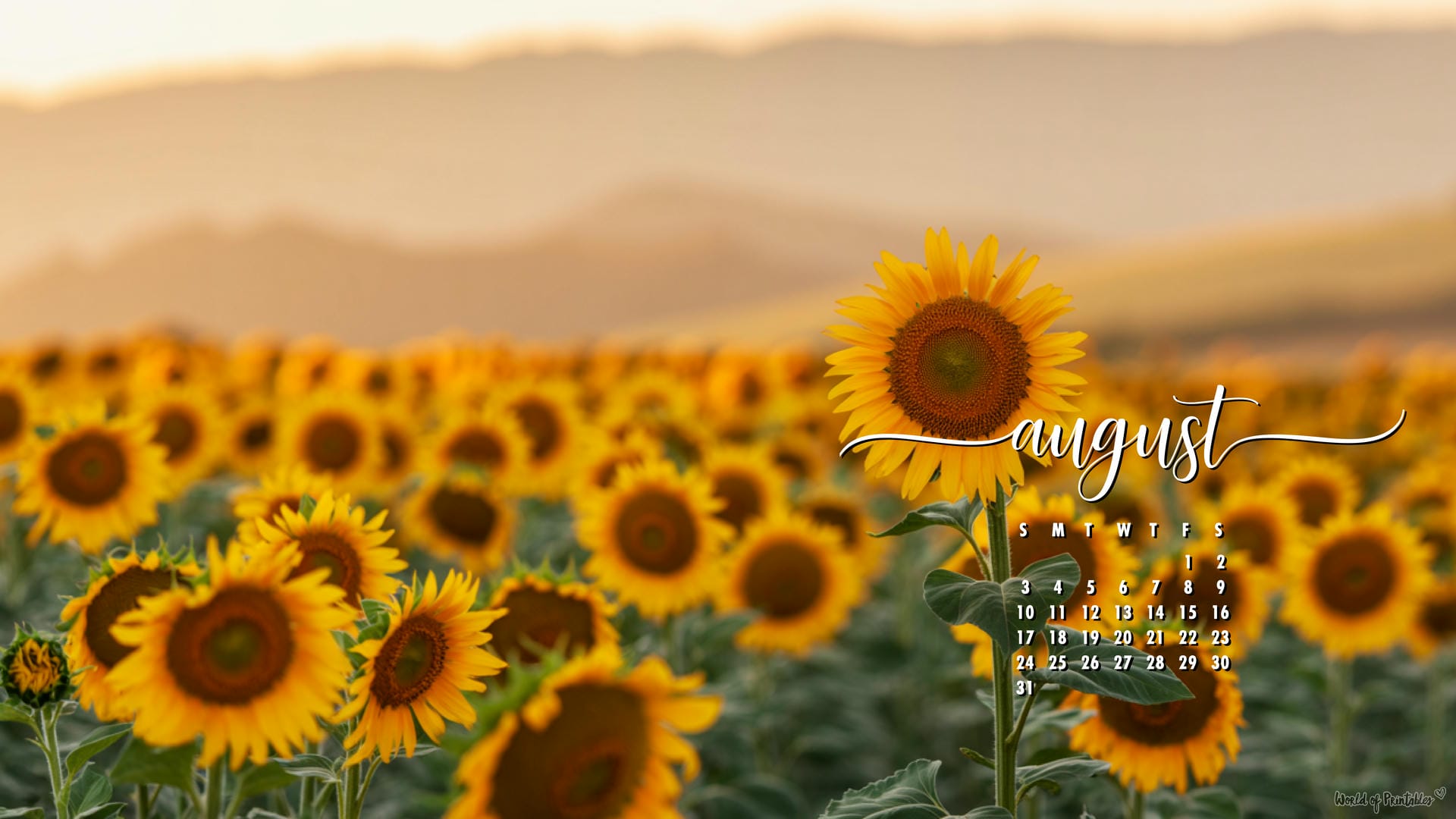 1920x1080 August Calendar Wallpaper Desktop & Phone Background