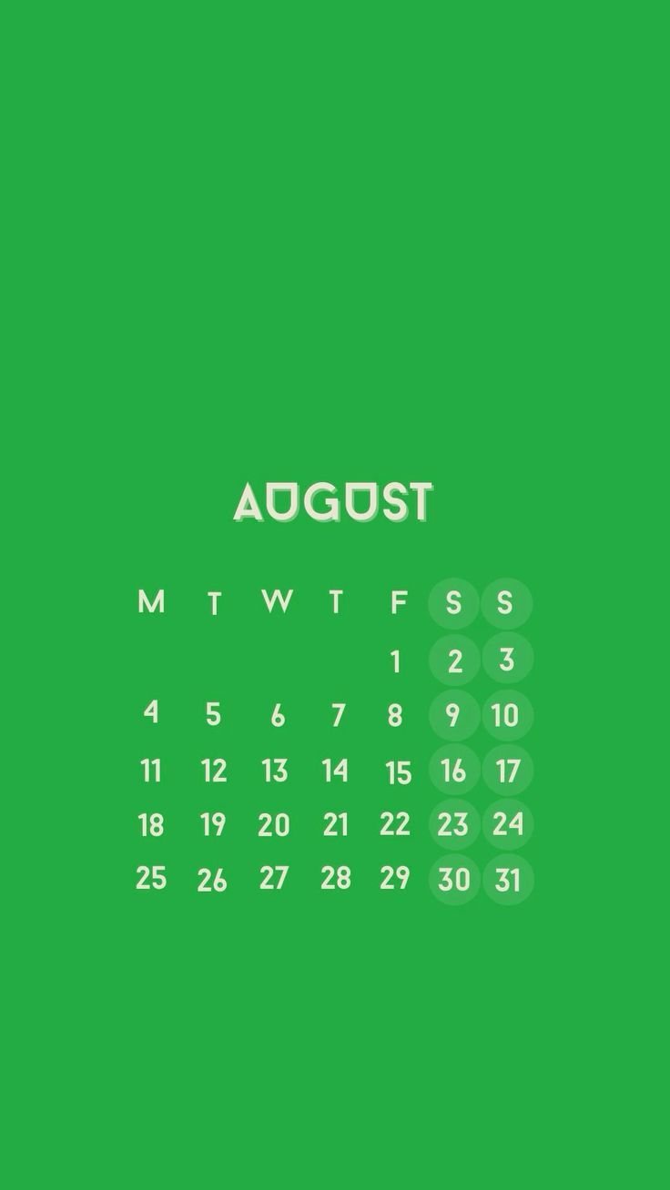 736x1308 August wallpaper calendar 2025 IPhone