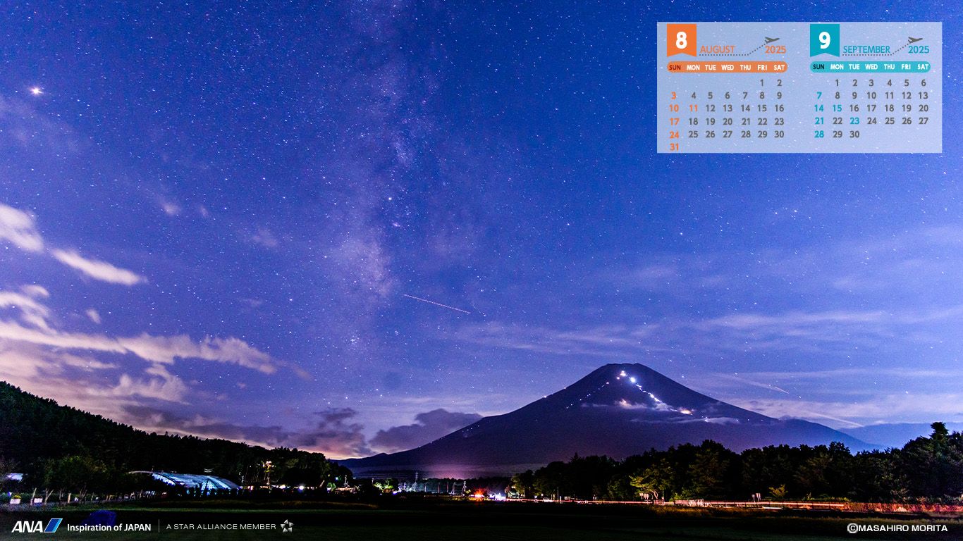 1366x768 Download Wallpaper. ANA