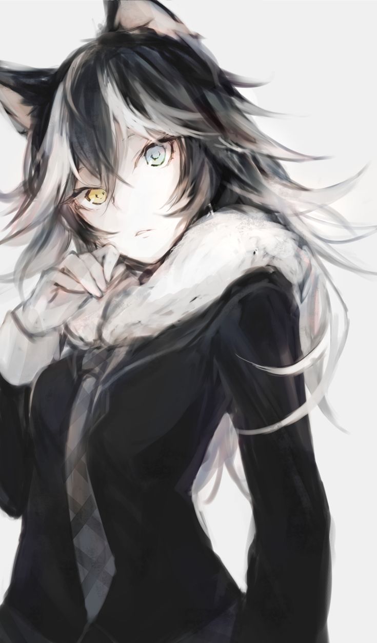 735x1253 Grey Wolf (Kemono Friends) Mobile Wallpaper by Hasuno Kaeru Anime Image Board