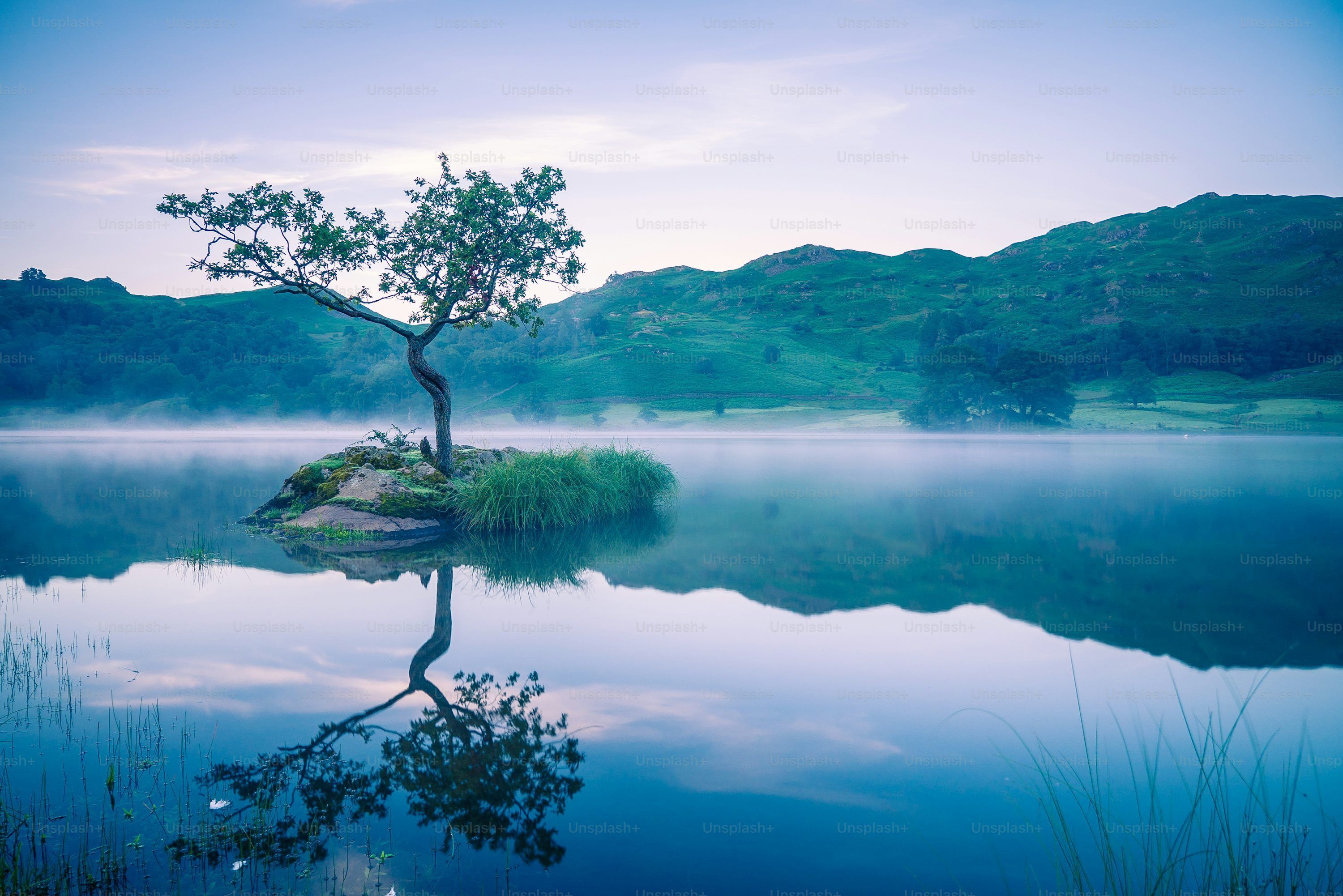 3000x2002 Dual Screen Wallpaper: Free HD Download [4K]