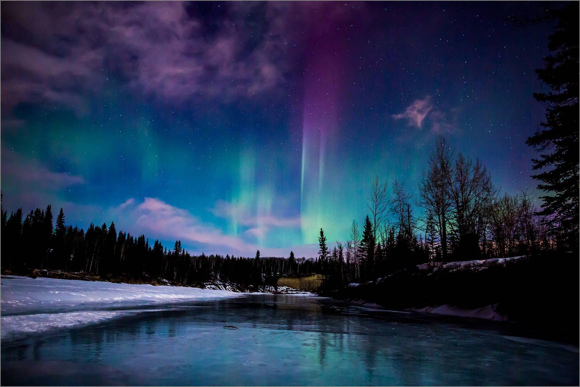 1920x1281 Download Aurora Borealis Northern Lights Forest Wallpaper