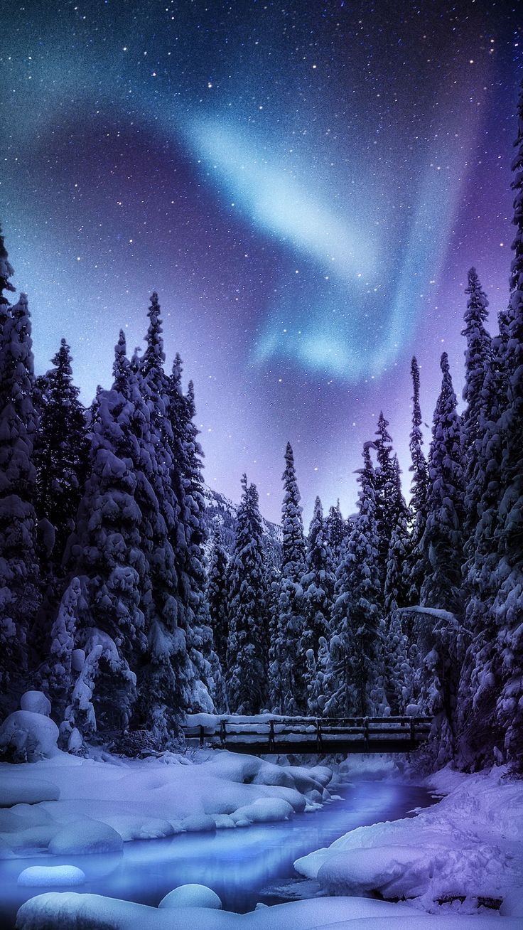 736x1308 Wallpaper milky way, northern lights, trees, snow, river, bridge, nature, Foods 4K by Anastasmile. Download wallpaper milky way, northern lights, trees, snow, river, bridge, nature for free
