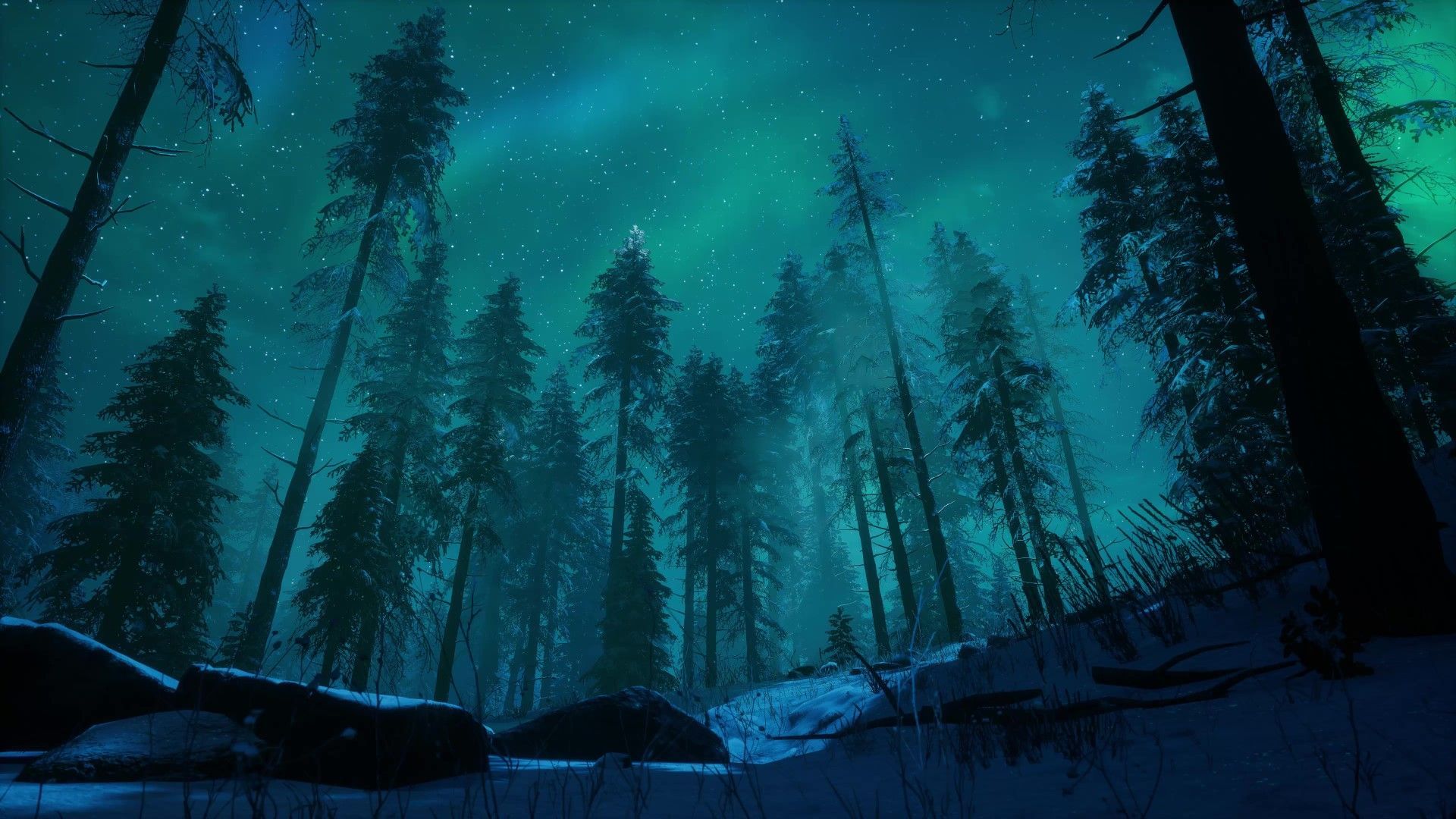 1920x1080 Aurora Forest Live Wallpaper