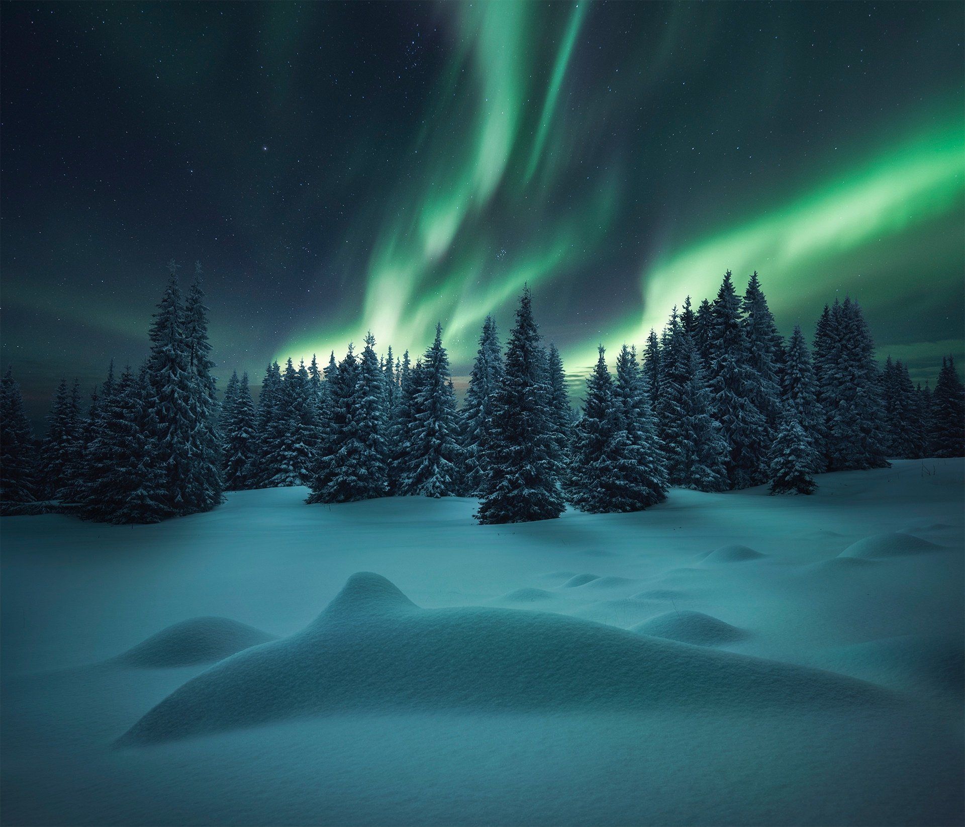 1920x1645 Aurora Lights Dance Over Snow Covered Winter Forest Night Wallpaperx1645