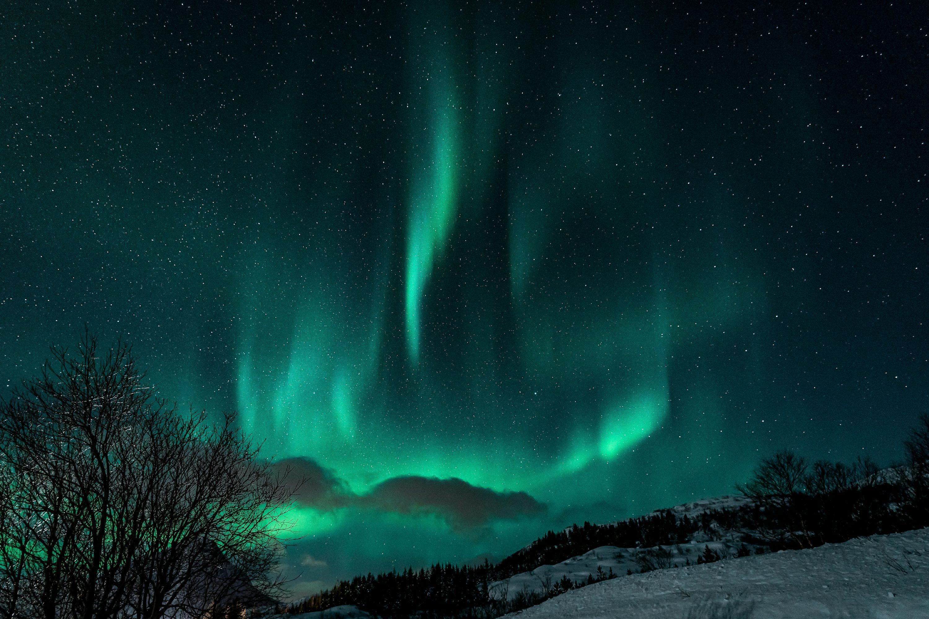 3000x2000 Green aurora lights during night time photo