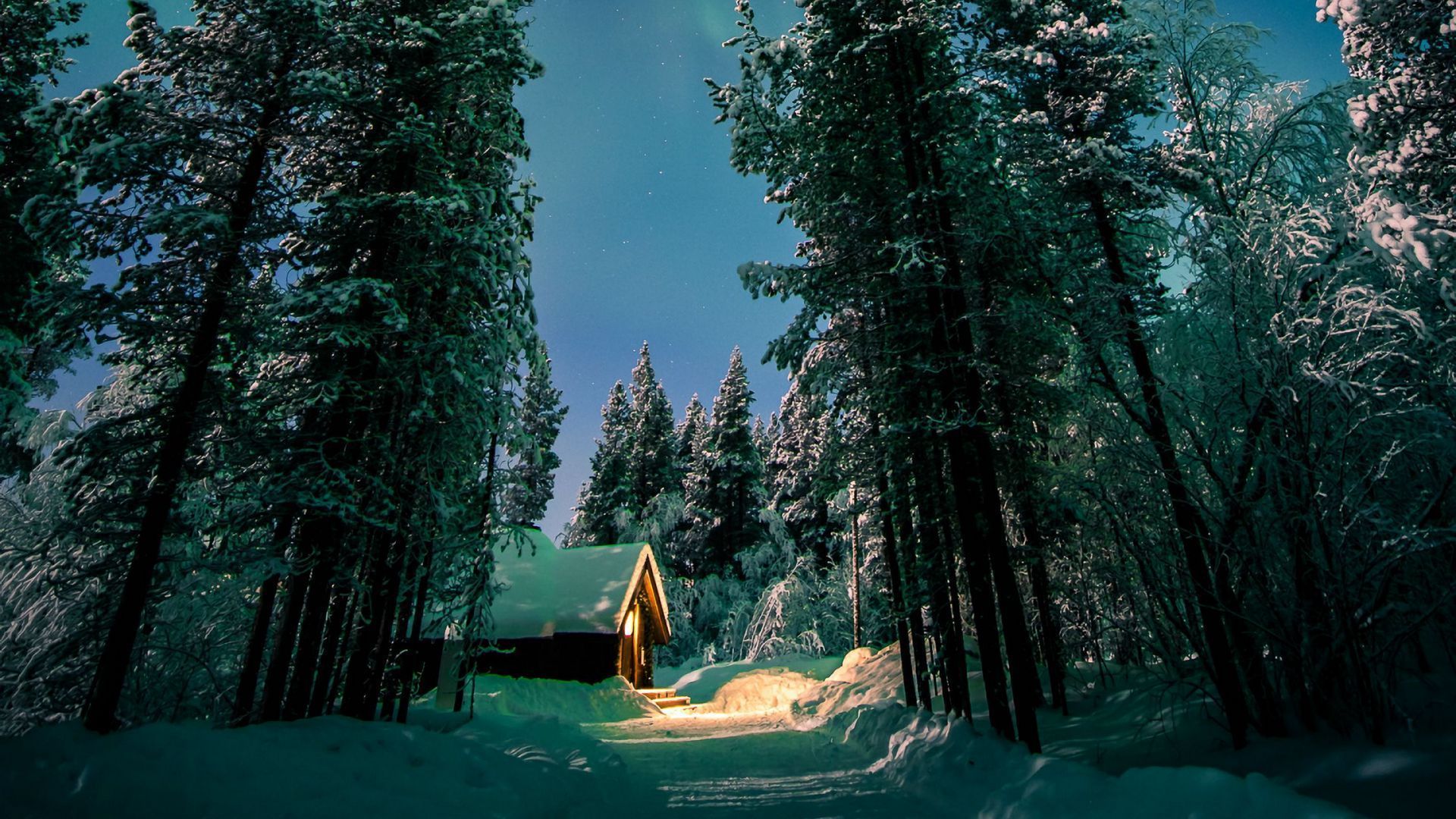 1920x1080 Download wallpaper 1920x1080 northern lights, aurora, forest, snow, night, winter full hd, hdtv, fhd, 1080p HD background