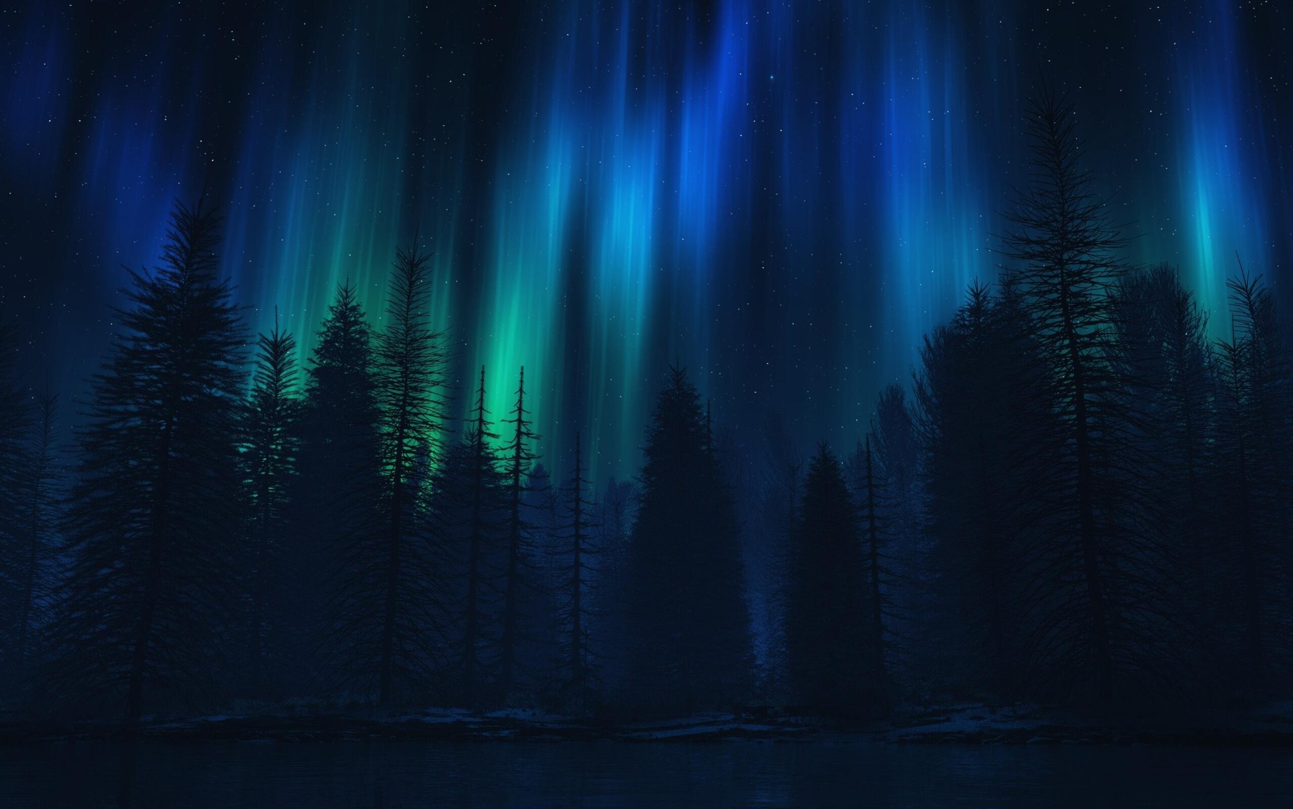 2556x1600 Wallpaper northern lights in the forest · 2560x1600 free photo from axebourne and wallpaper