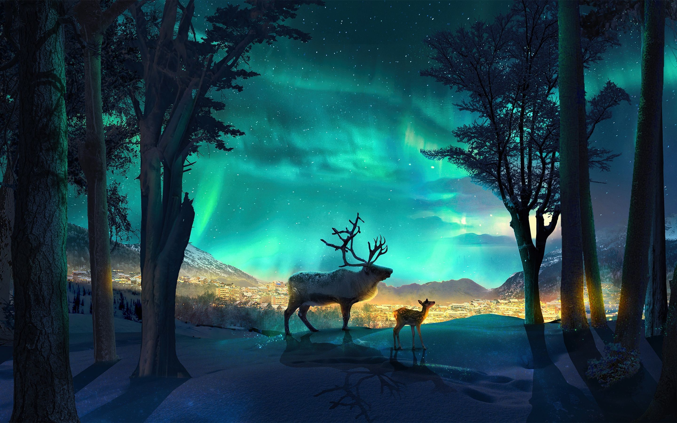 Aurora Forest Wallpapers - Top Free Aurora Forest Backgrounds