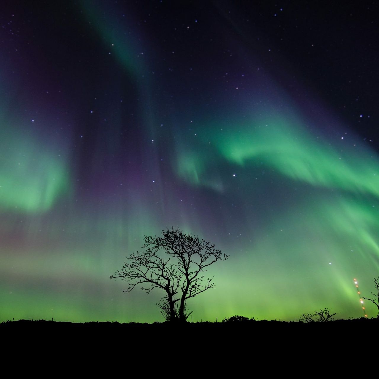 1280x1280 Aurora Borealis Wallpaper 4K, 5K, Northern Lights, Night