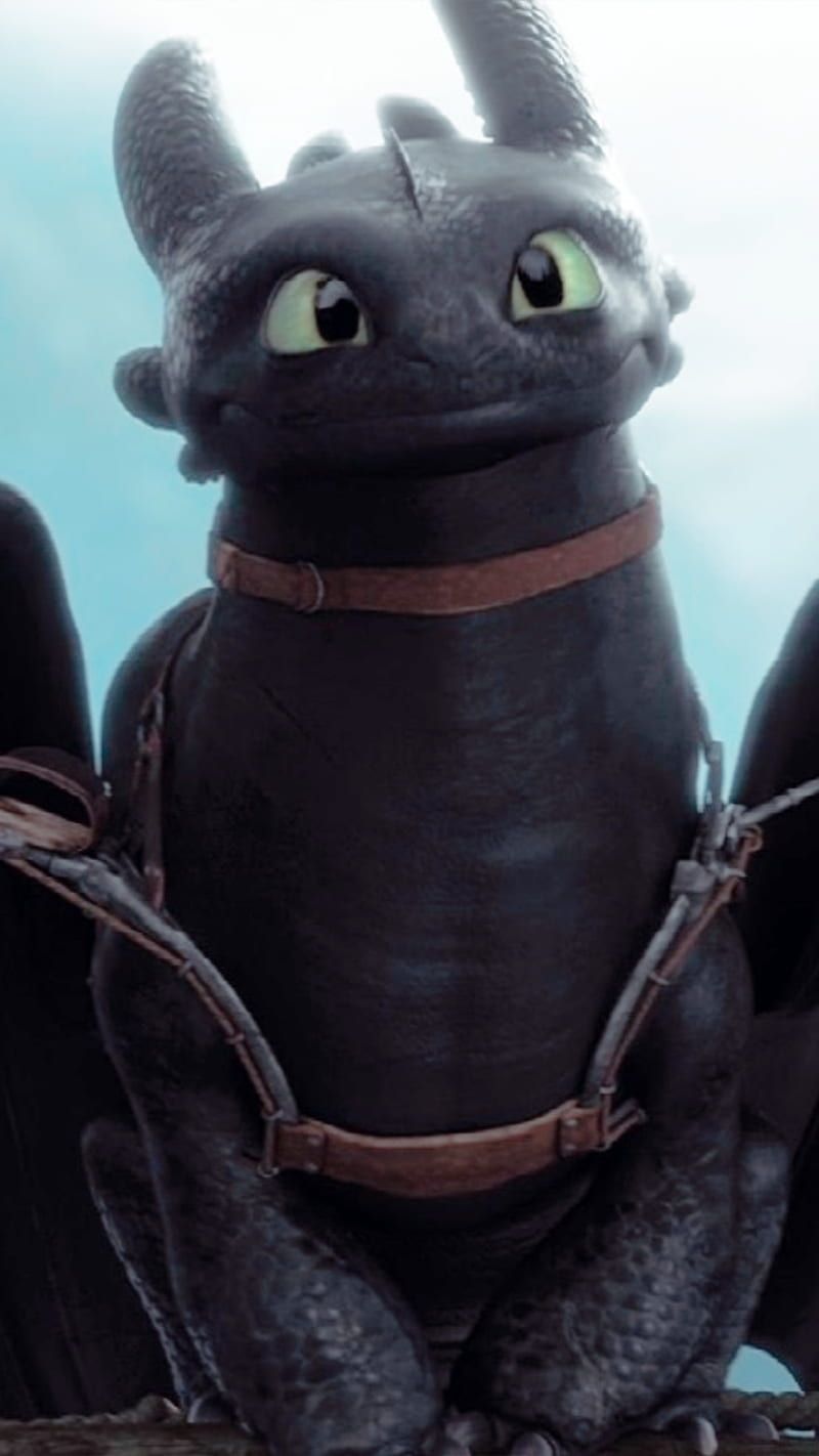 800x1422 Cloudjumper, httyd HD wallpaper