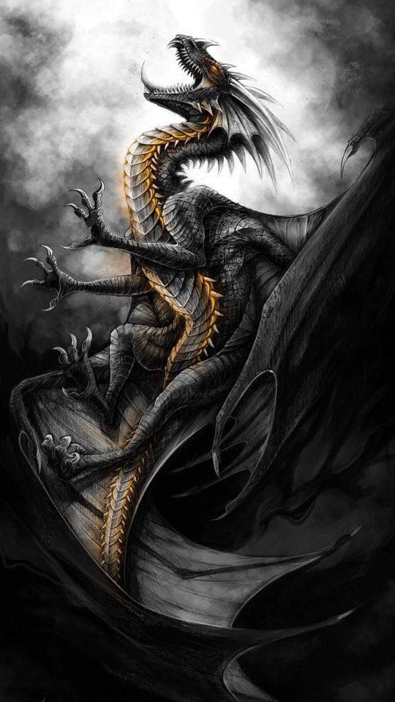 800x1422 Black dragon, black, dragon, fantasy, HD phone wallpaper