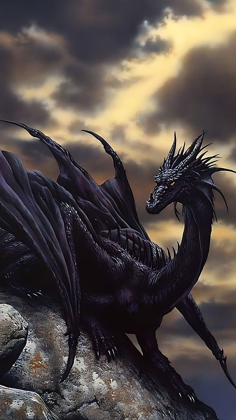 800x1422 Best Dragon, black dragon, black, dragon, best, HD phone wallpaper