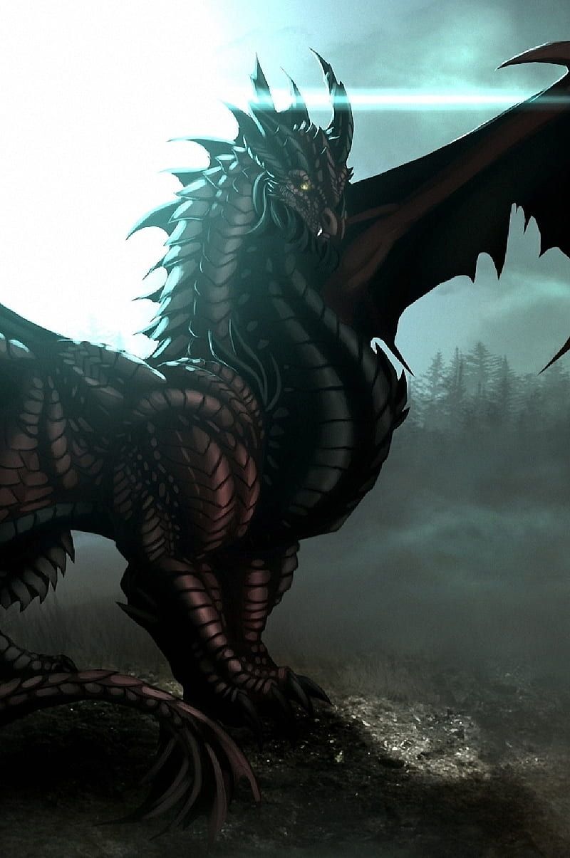 800x1205 Dragon Of Black, black, dragon, fantasy, fire, i mythic, HD phone wallpaper