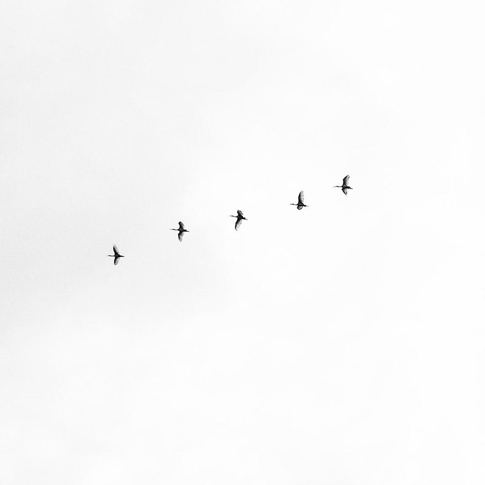 1000x1000 minimalist aesthetic. best free minimalist, white, beach