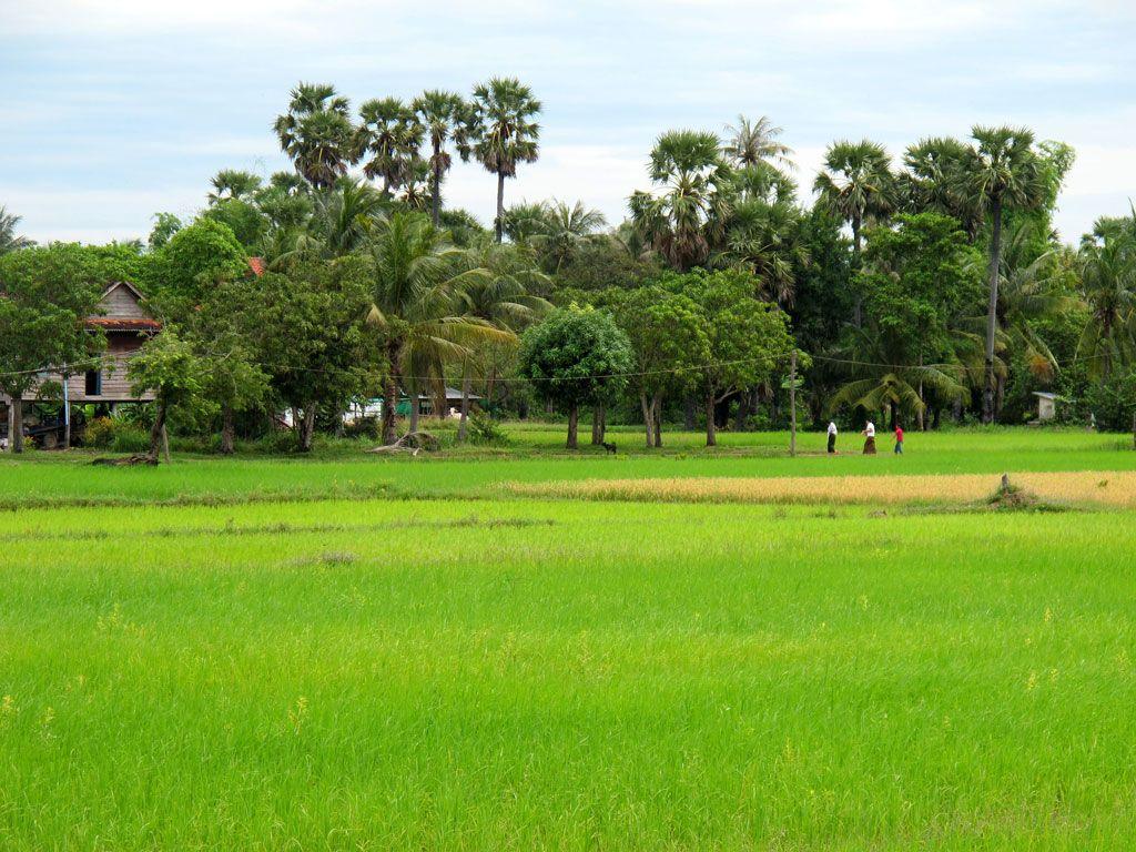 Khmer Countryside Wallpapers - Top Free Khmer Countryside Backgrounds ...