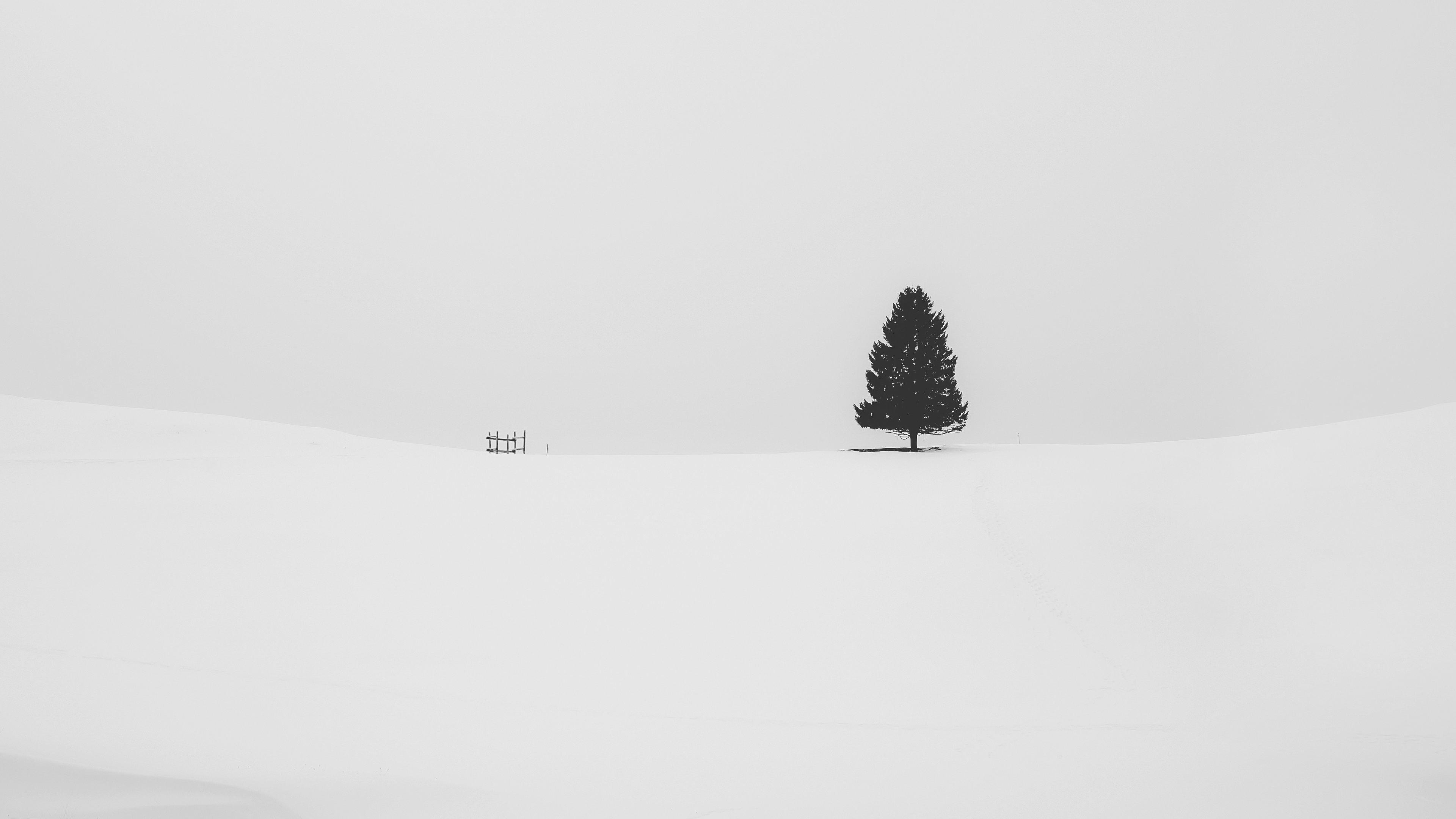 3840x2160 Winter Minimalist Wallpaper