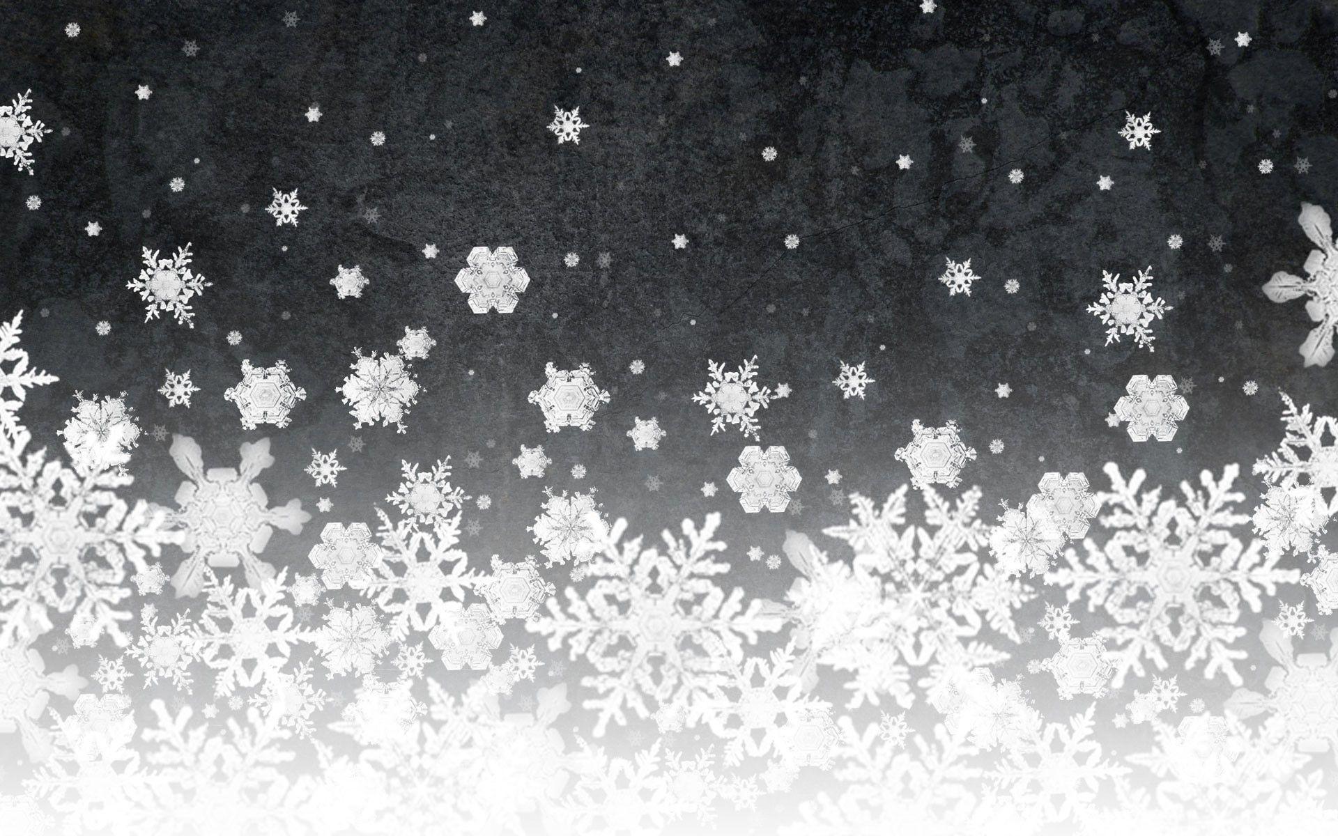 Black and White Christmas Wallpapers Top Free Black and White
