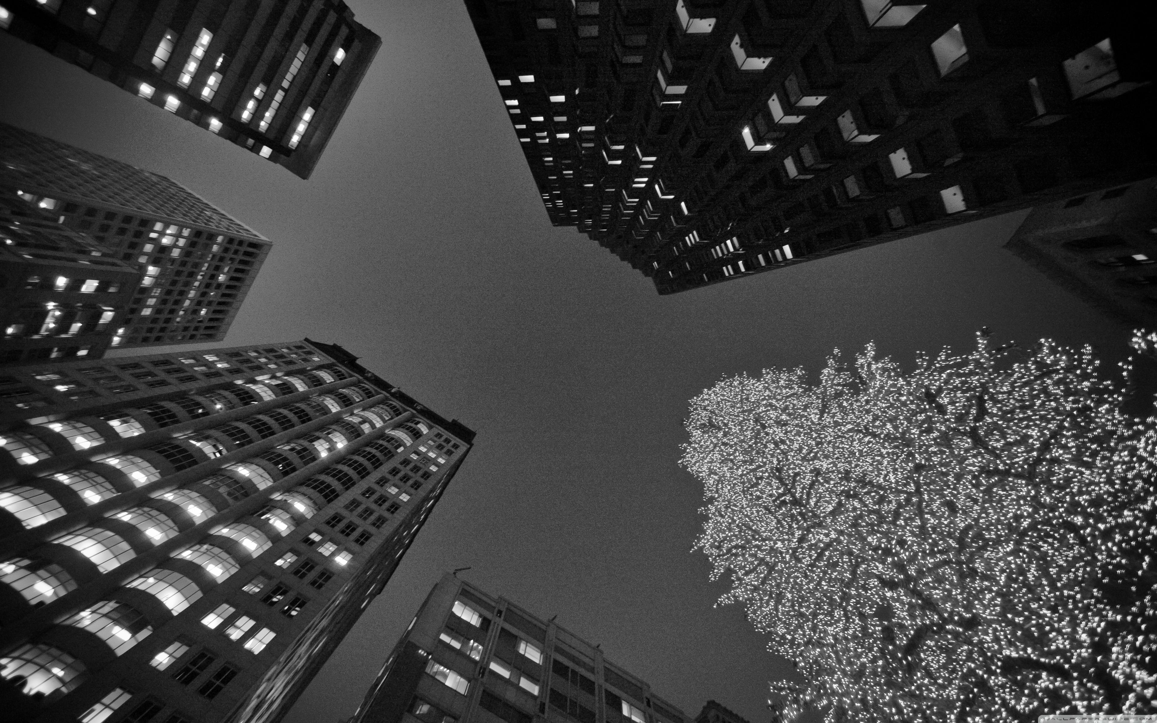 3840x2400 Black And White San Francisco Christmas Ultra HD Desktop