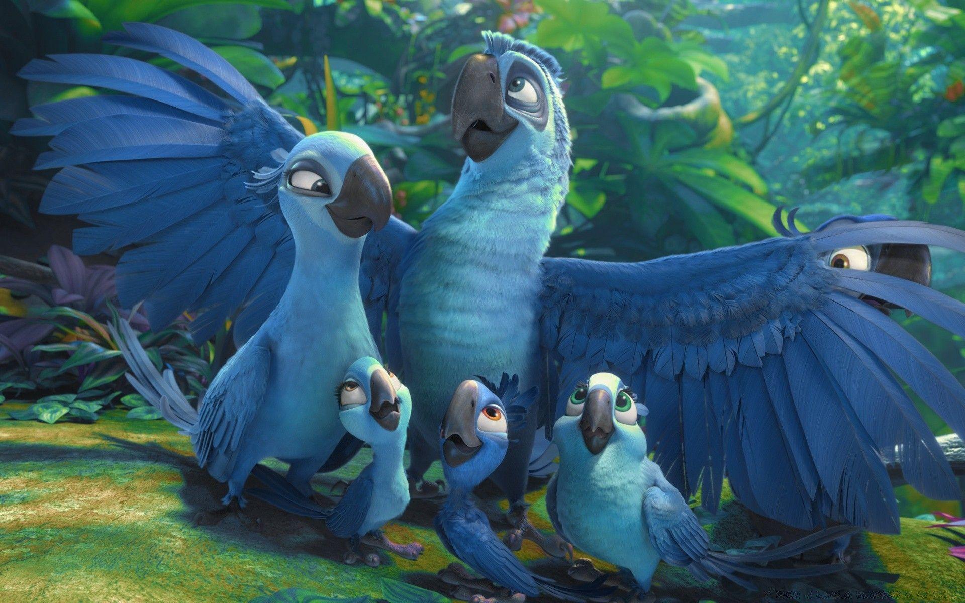 Rio 2 Wallpapers - Top Free Rio 2 Backgrounds - WallpaperAccess