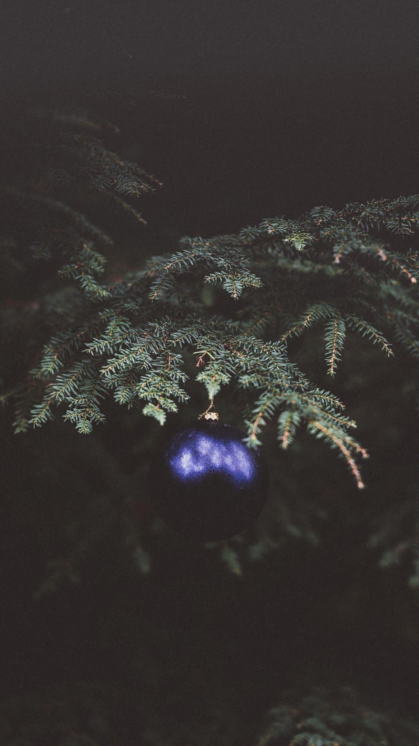1350x2400 Download wallpaper 1350x2400 christmas tree, fir, branch, dark