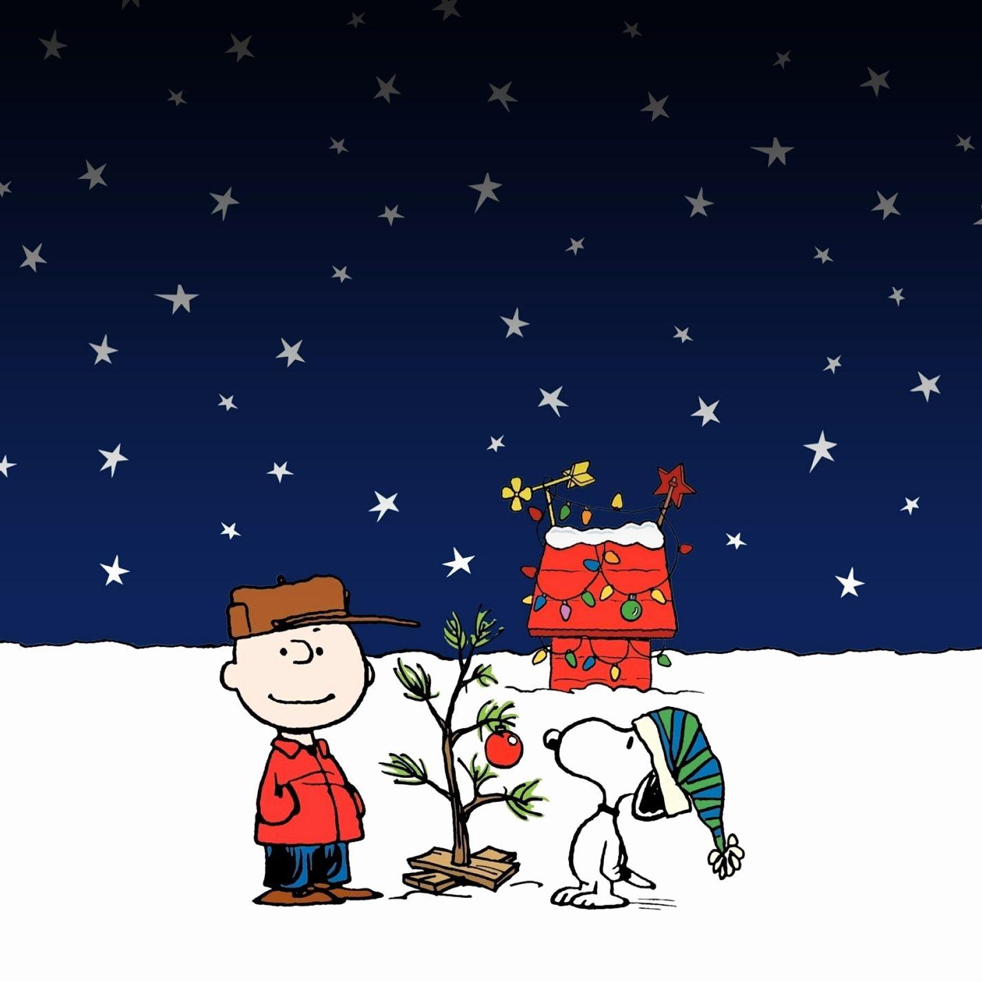 Snoopy Christmas Wallpapers - Top Free Snoopy Christmas Backgrounds -  WallpaperAccess