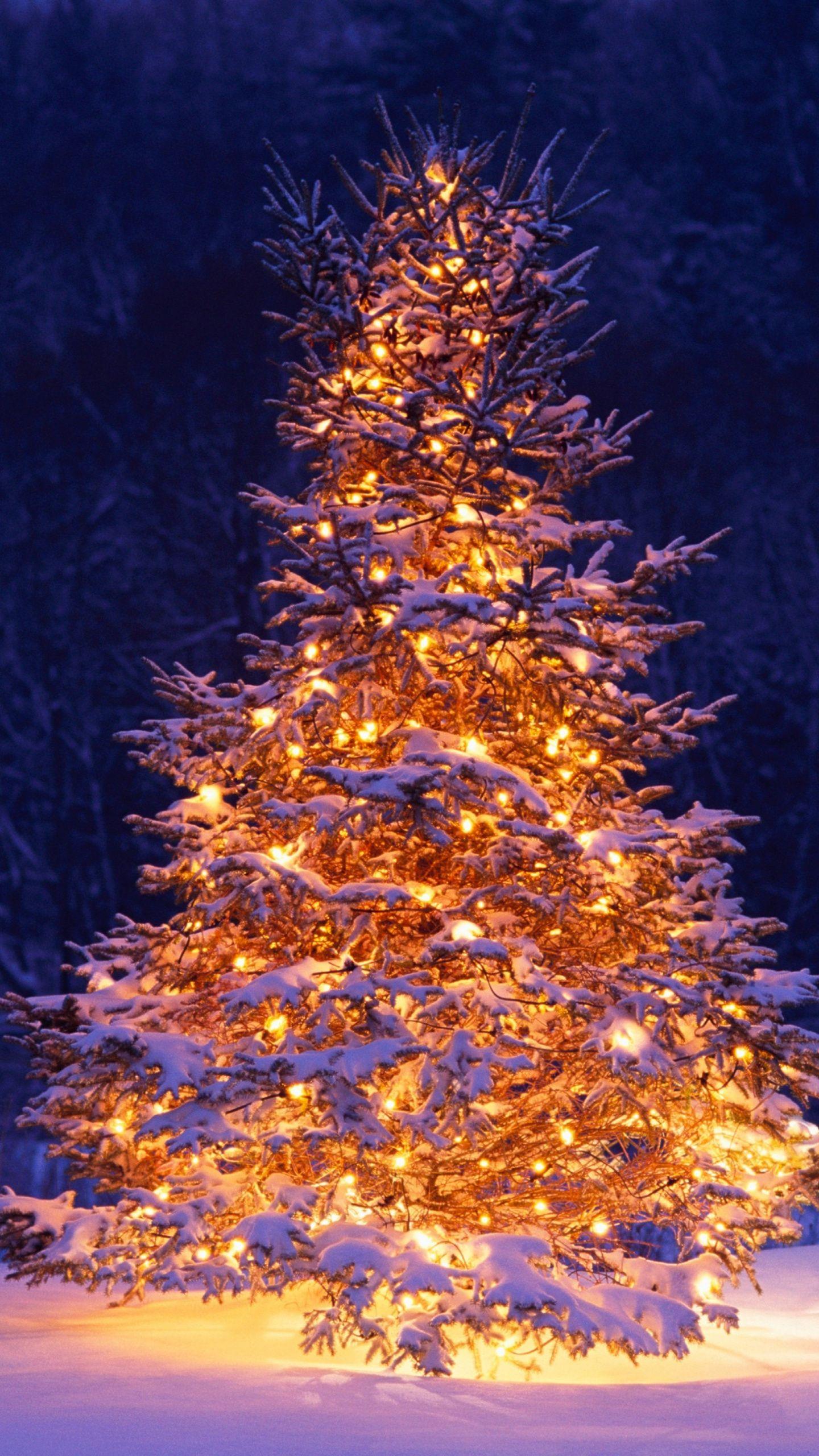 1440x2560 Download 1440x2560 wallpaper christmas tree, chairs, winter