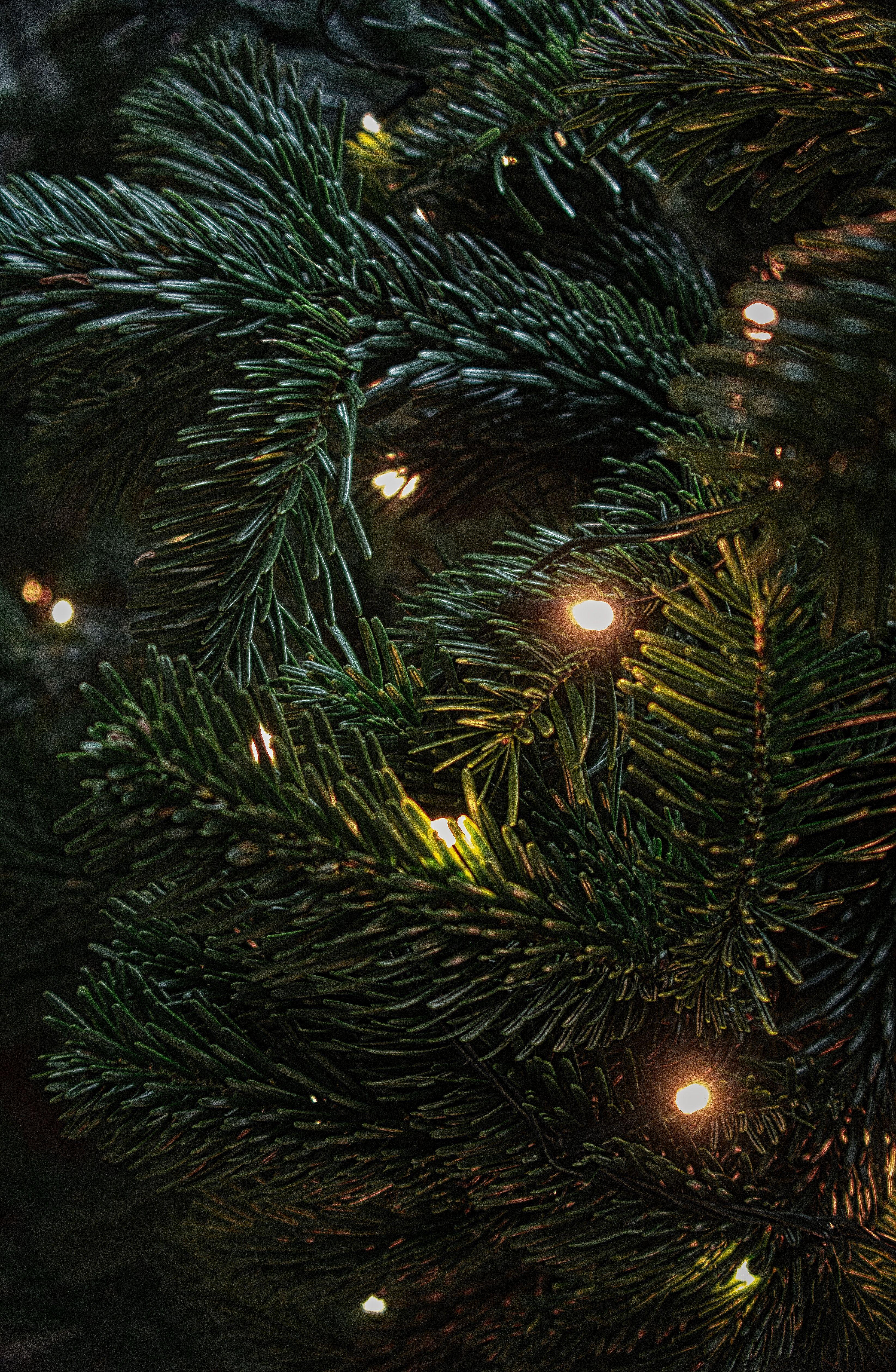 3290x5040 Wallpaper Christmas Tree, Decoration, 4K, Black Dark