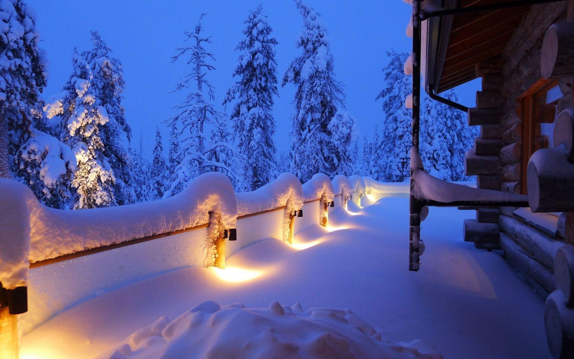 1920x1200 Landscapes nature winter snow trees forests night fenceline lights