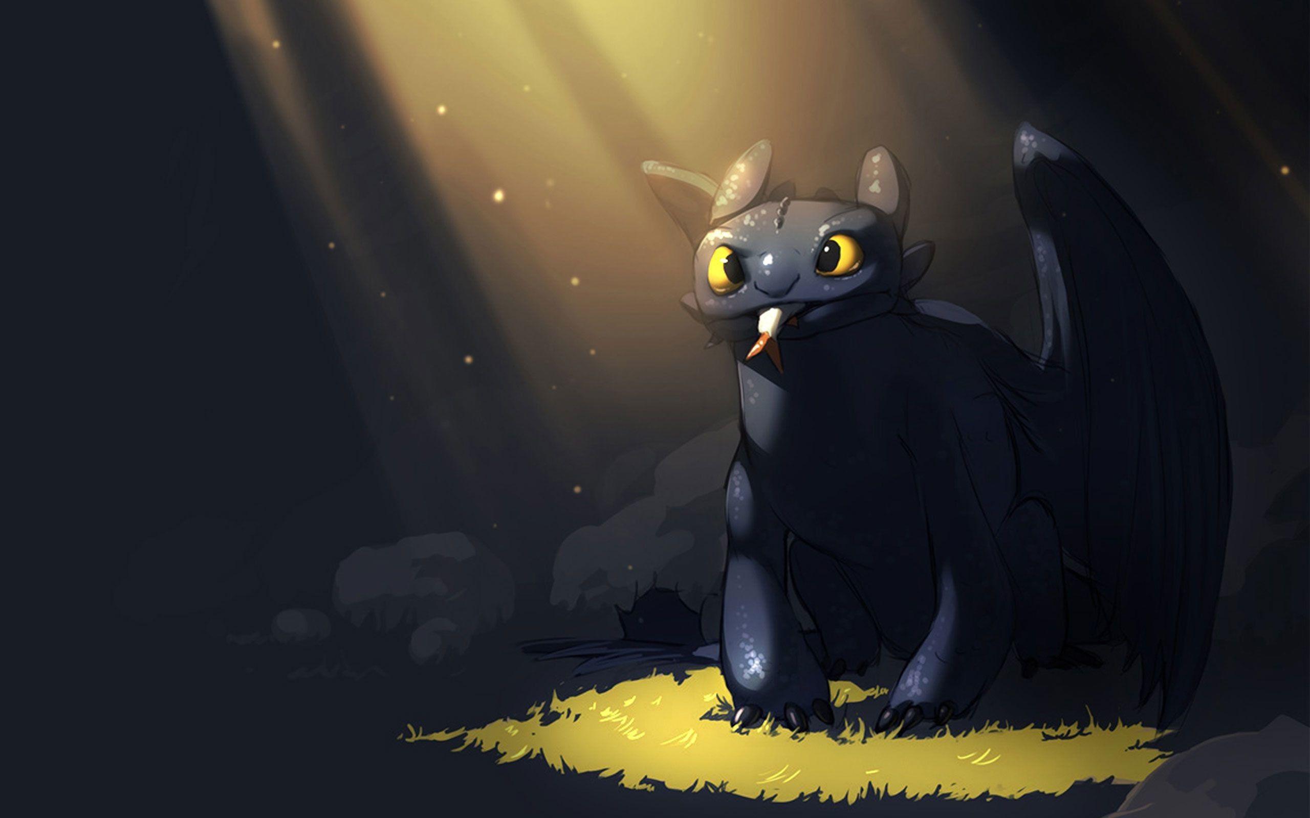 2560x1600 Toothless the Dragon Wallpaper