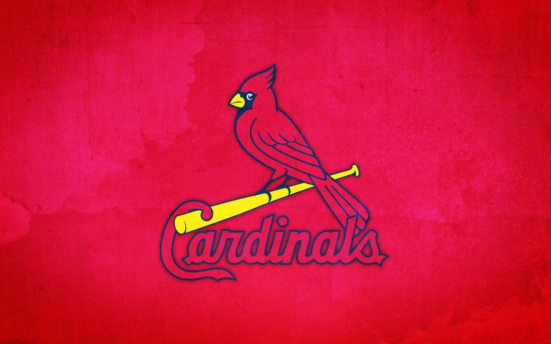 Download St Louis Cardinals One Red Bird Wallpaper  Wallpaperscom