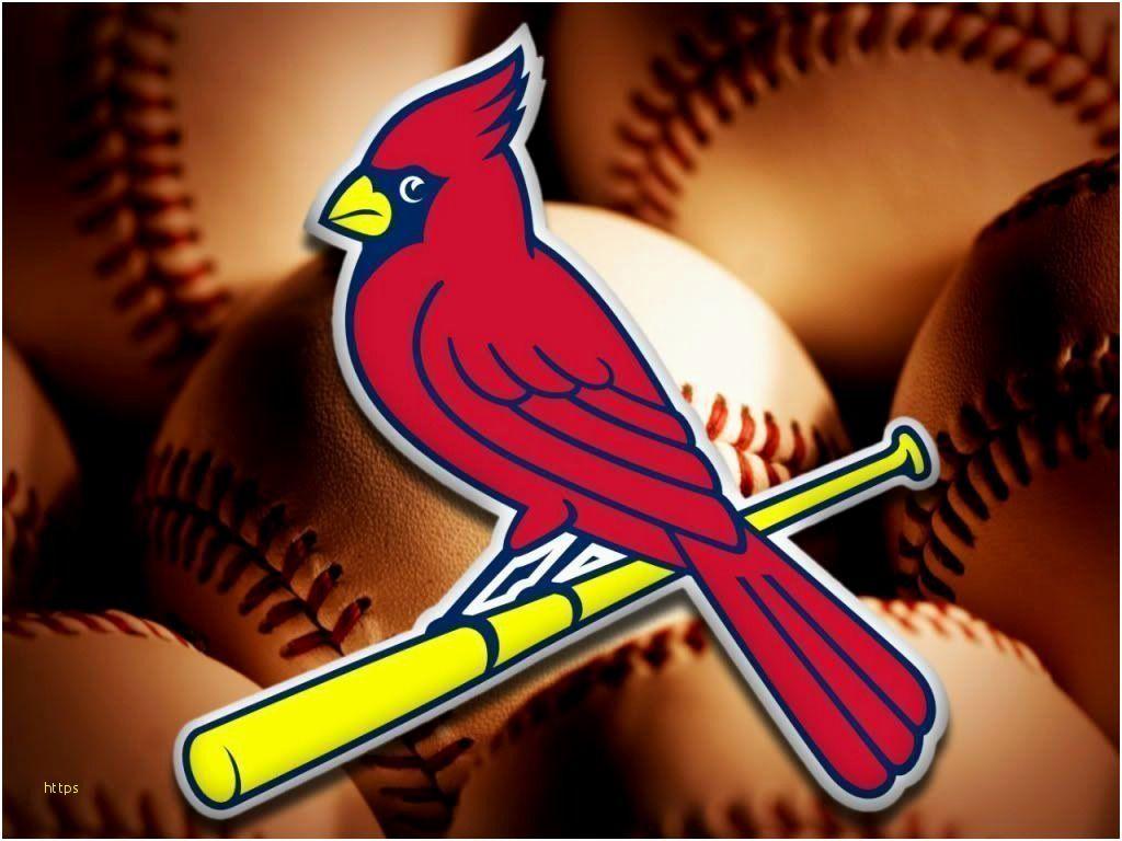 Cardinals Baseball Wallpapers - Top Free Cardinals Baseball Backgrounds -  WallpaperAccess