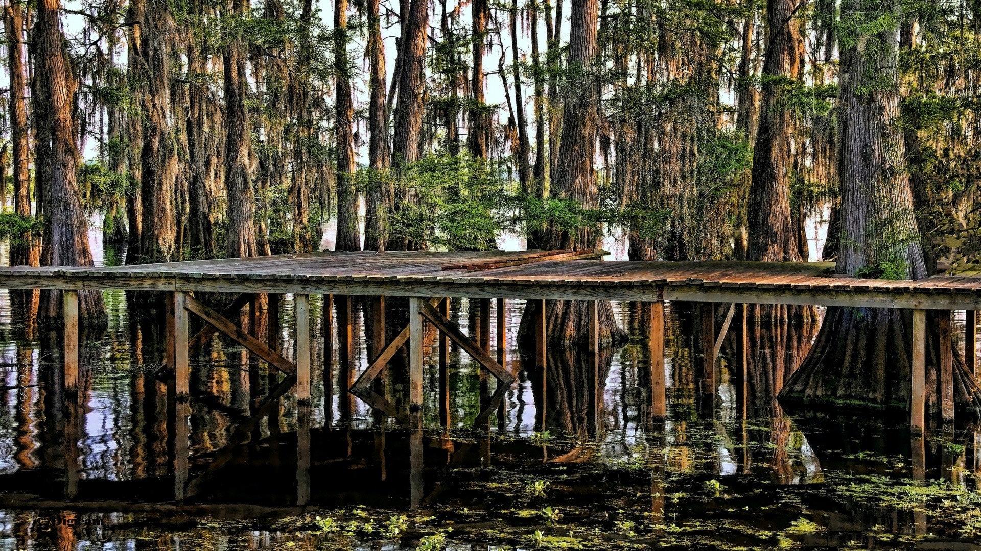 1920x1080 Swamp wallpaper HD for desktop background