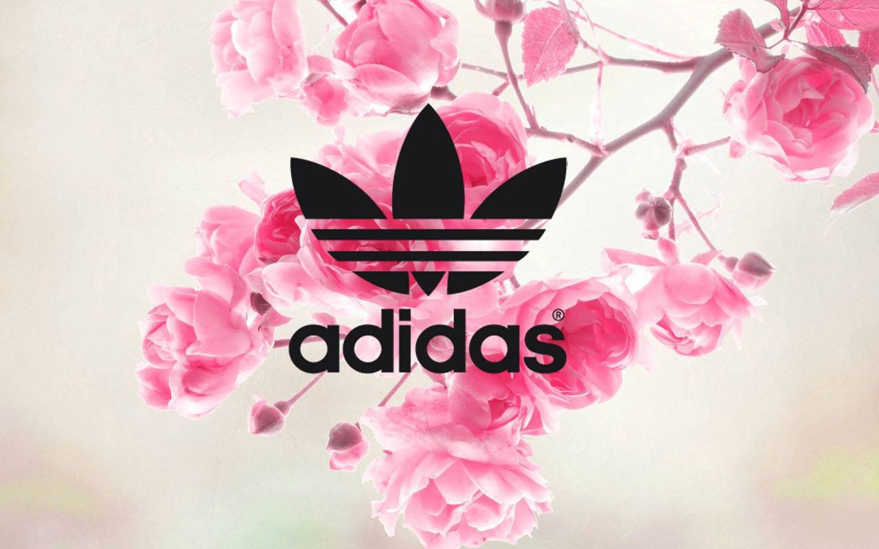 adidas flower wallpaper
