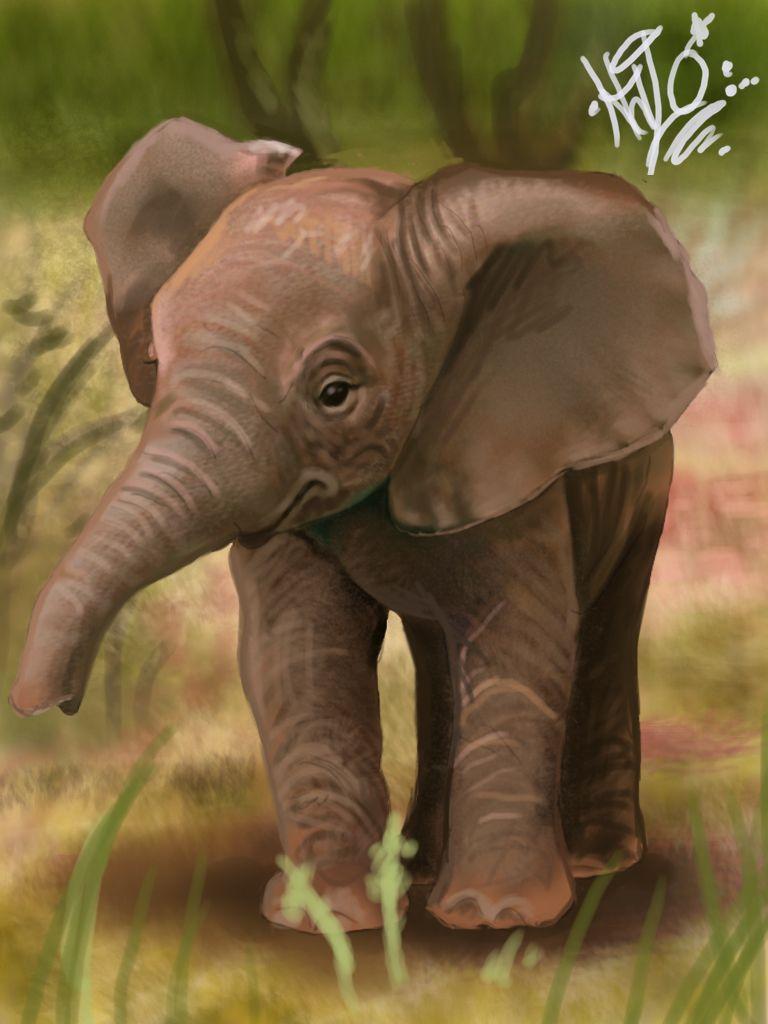 768x1024 Free download Baby elephant speed painting