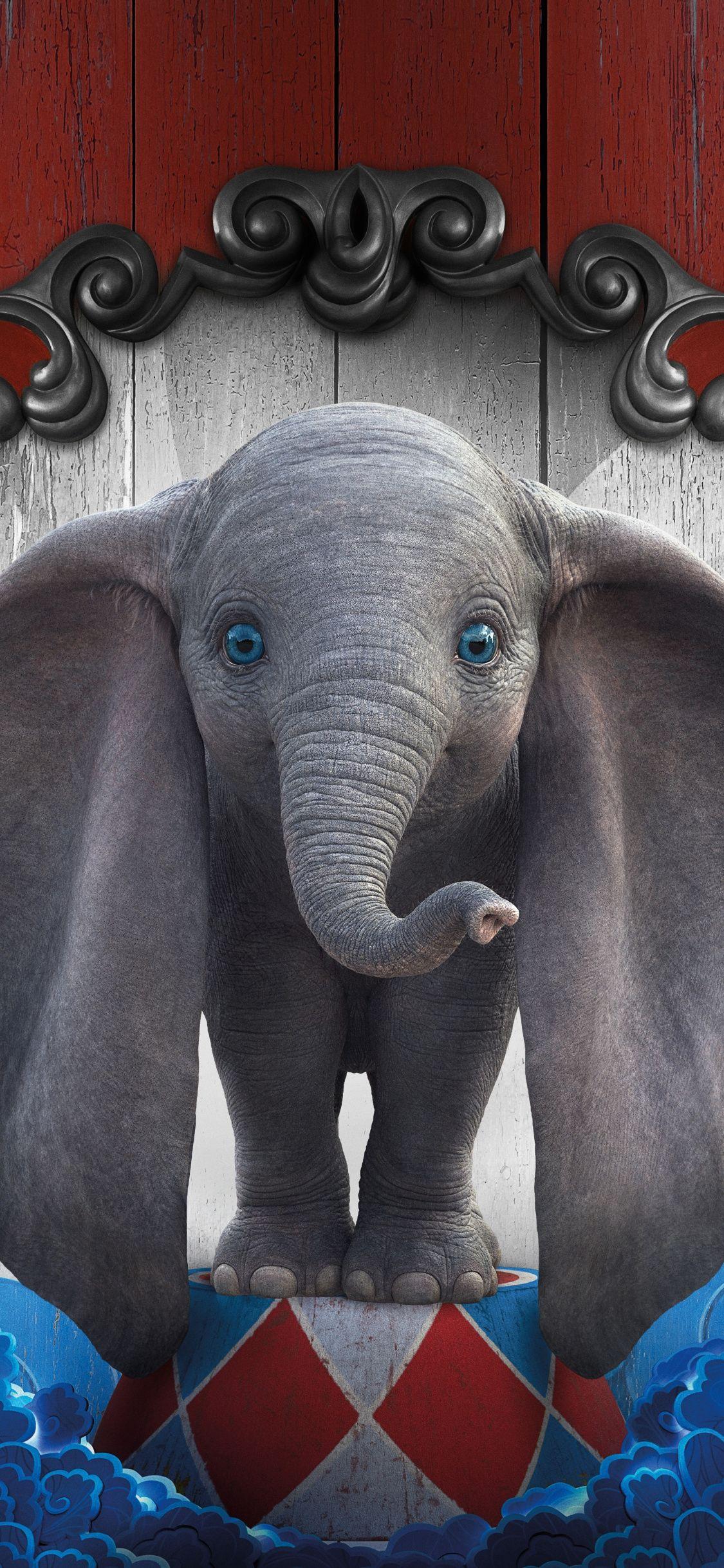 1125x2436 Download dumbo, cute, baby elephant, 2019 movie 1125x2436 wallpaper, iphone x, 1125x2436 HD image, background, 18585