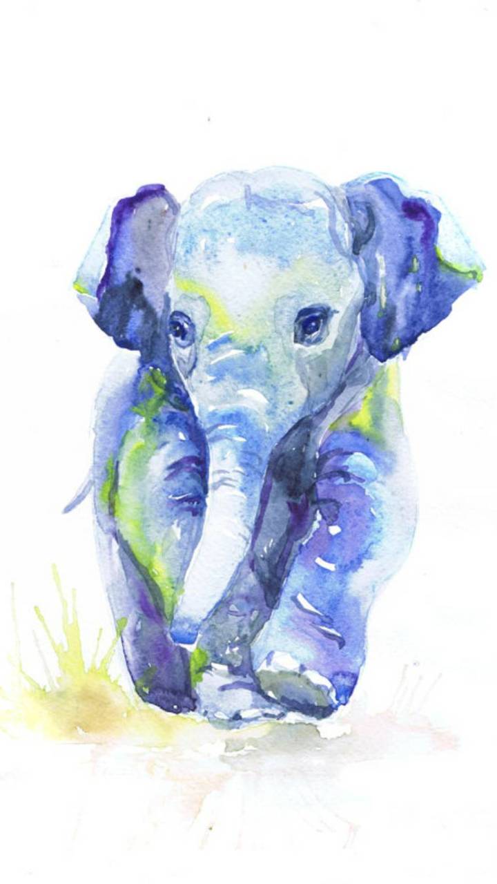 720x1280 Baby elephant wallpaper