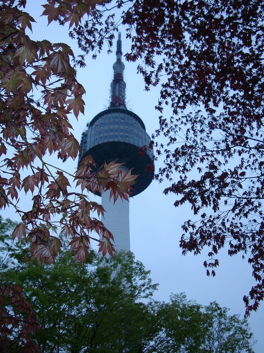 Hình nền HD 910x1213: tháp seoul namsan, Hàn Quốc, công viên, mốc