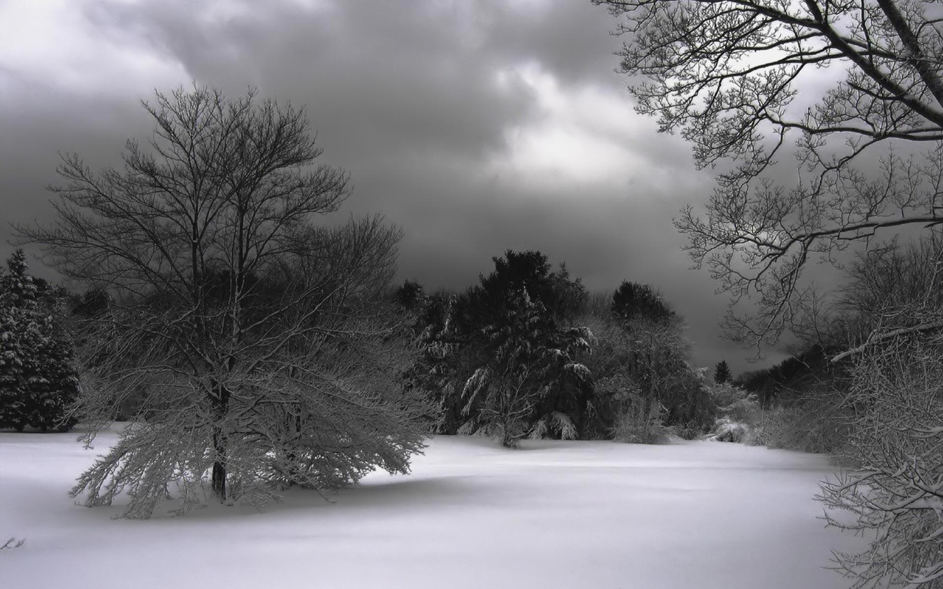 1920x1200 Wonderful Winter