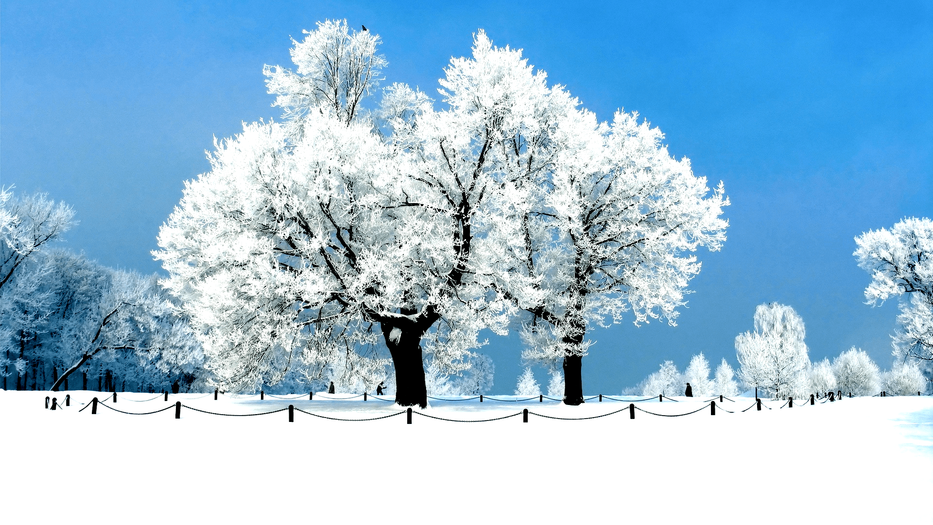 1920x1080 Full #Wallpaper #wallpaper #Winter Winter Wallpaper Full HD #winter # wallpaper. Winter wallpaper, Winter backdrops, Winter painting