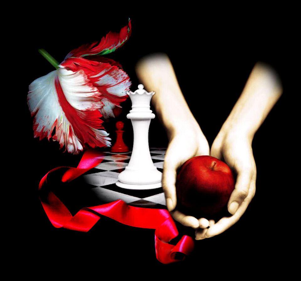 960x897 5095 Twilight Book Cover Collage Movie Wallpaper