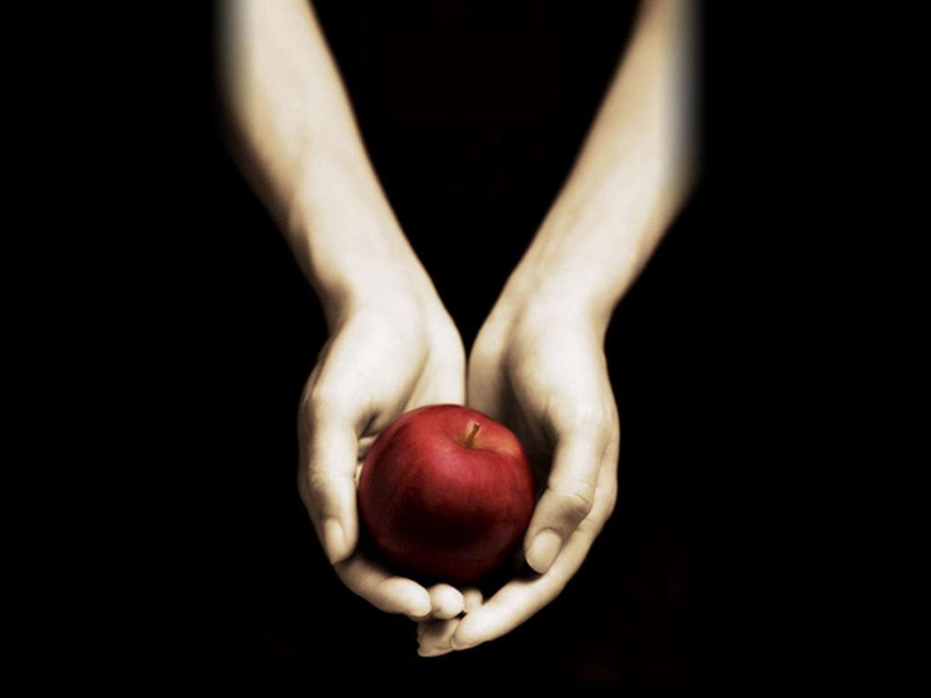 1024x768 Free download Twilight the book cover Wallpaper Download