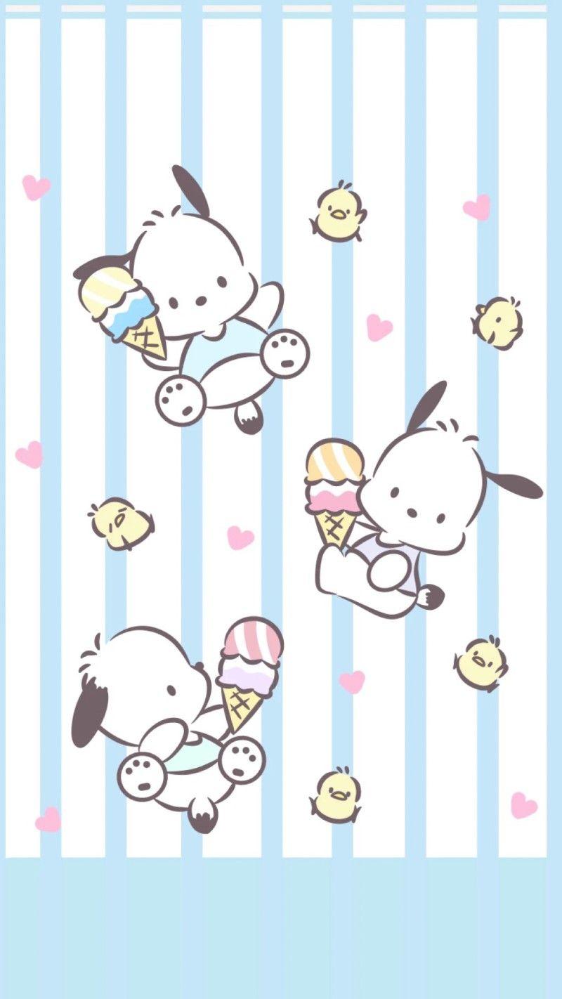 My pochacco art  rsanrio