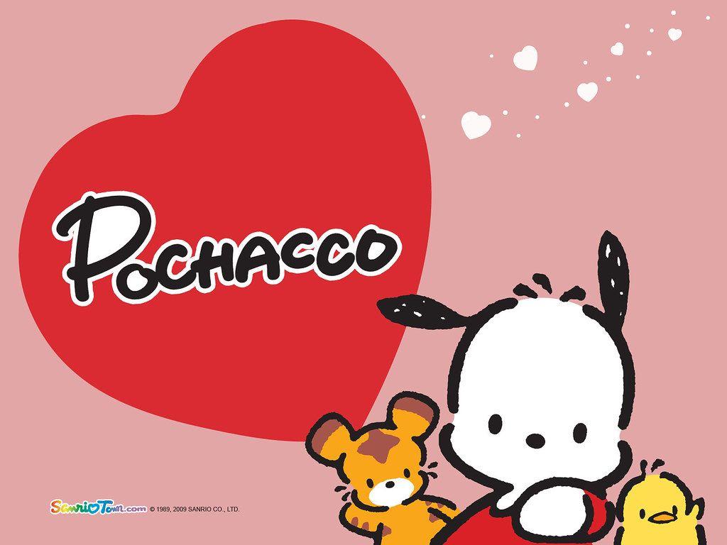 Pochacco Wallpapers - Top Free Pochacco Backgrounds - WallpaperAccess