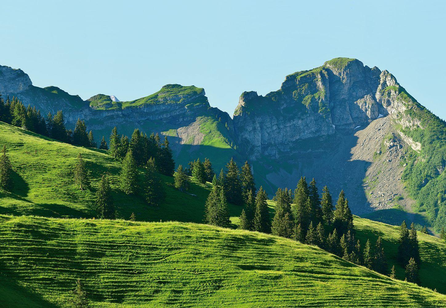 1449x1000 Photo wallpaper Swiss Mountains Gstaad I