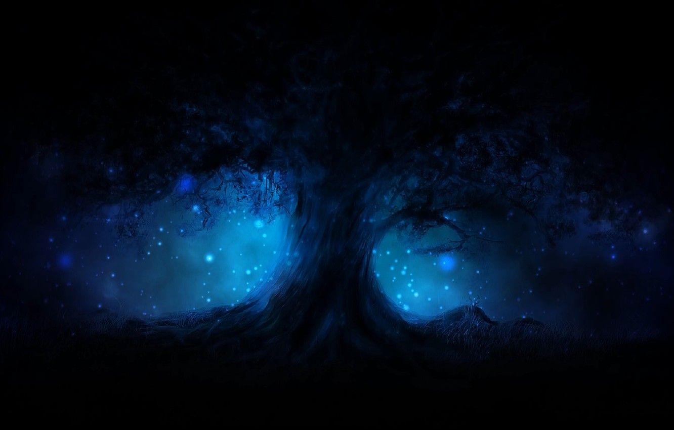 1332x850 Free download Wallpaper energy night tree magic tenderness glow