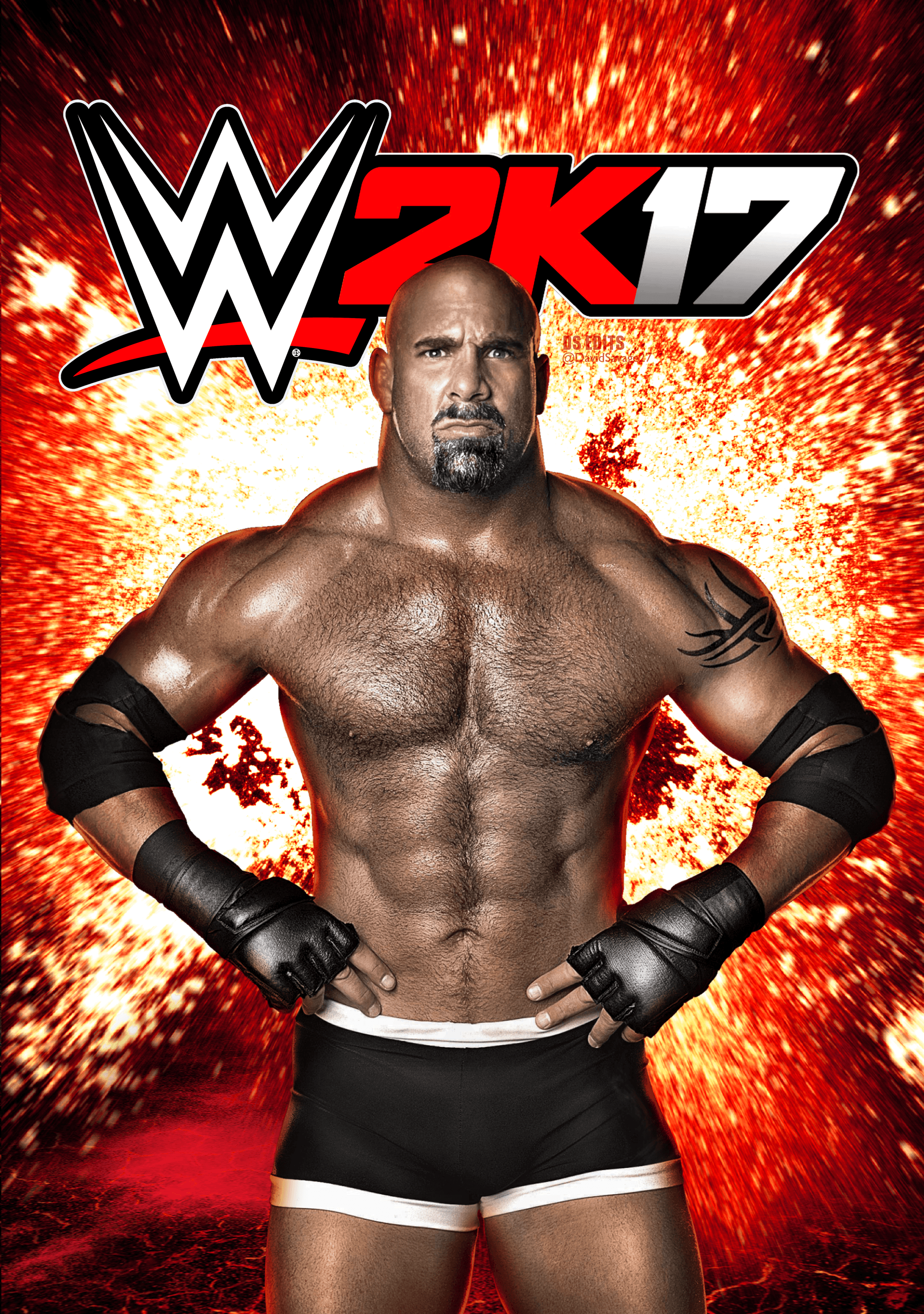 2071x2945 Free download WWE Bill Goldberg Wallpaper [2071x2945]