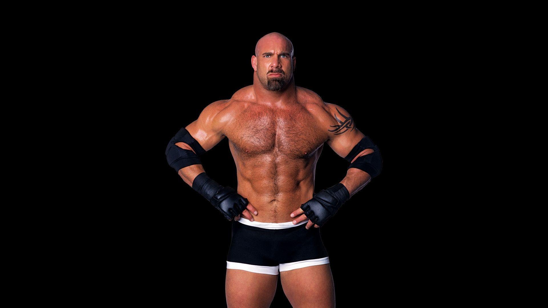 1920x1080 Goldberg Wallpaper HD